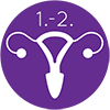 uterusprolaps1